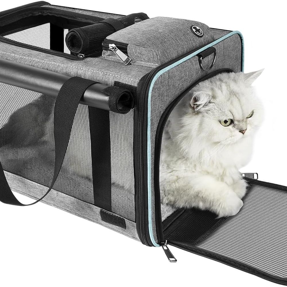 Cat Carrier American, United,  - Travel Accessories Delta Airlines ulasan dan harga